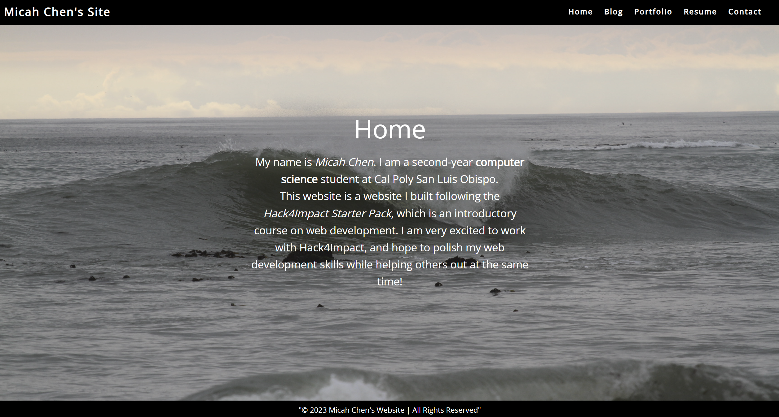 My Hack4Impact Website